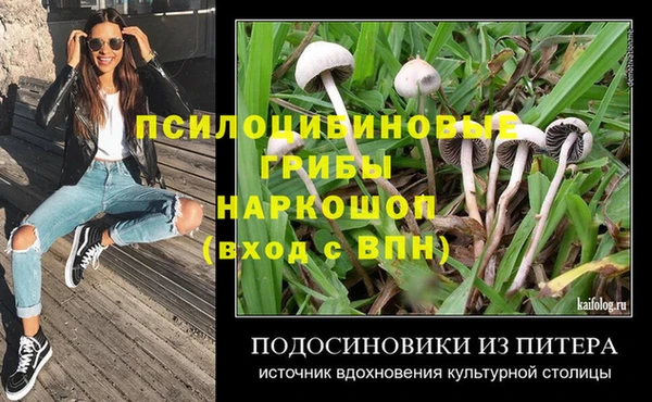 круглые Аркадак