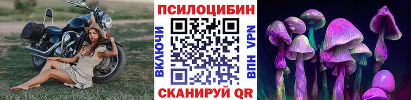 гидра зеркало  shop клад  Галлюциногенные грибы Psilocybe  Кулебаки 